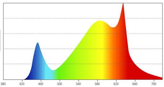 光纤光谱仪谱图