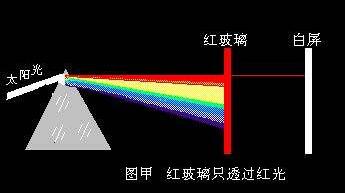 光学成像图
